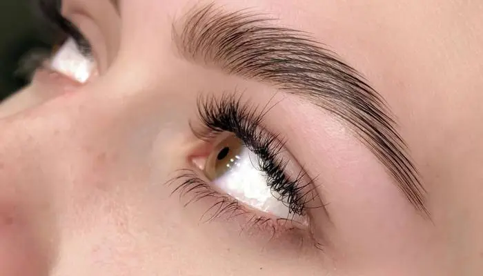 30 Minutes Brow Tint