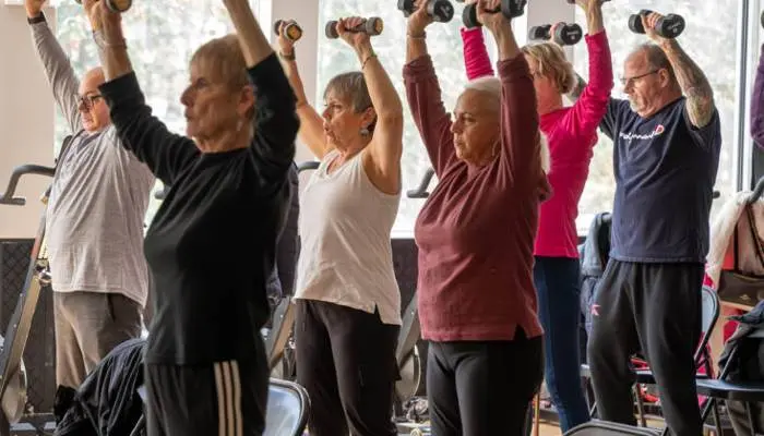 Senior Fitness Program For Strength And Wellbeing
